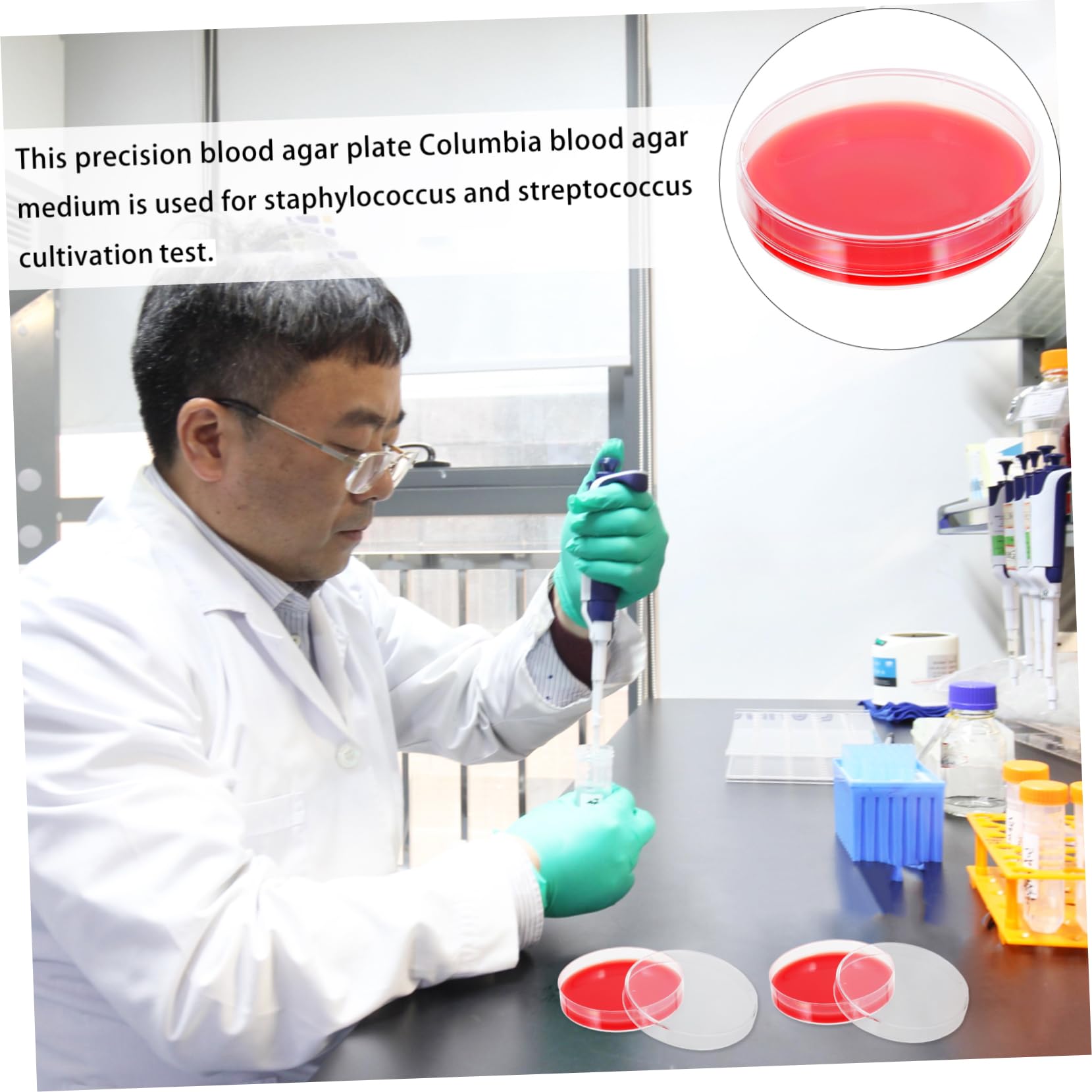 20piezas Placas De Agar Para Cultivo De Microorganismos Laboratorio Medio De Cultivo Duradero y Resistente Caídas