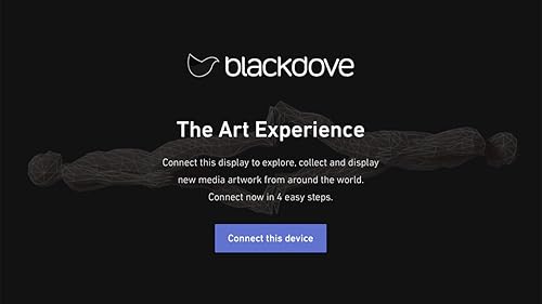 Blackdove Motion Art Gallery