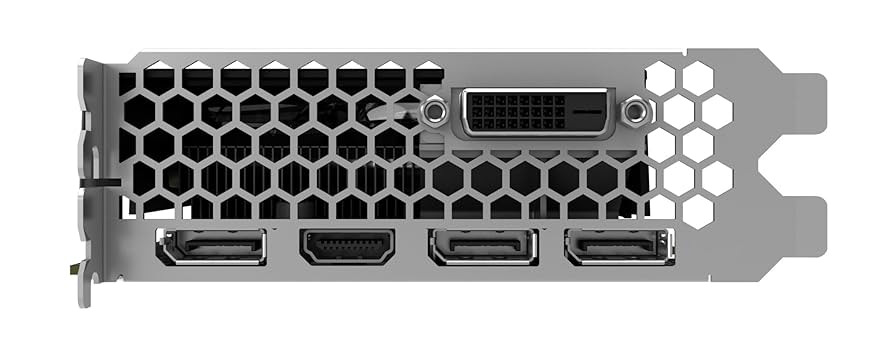 Amazon.com: PNY GeForce GTX 1060 6GB Graphics Card