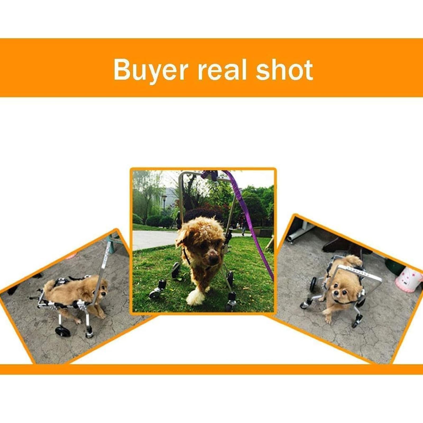 Verstellbarer Haustierrollstuhl Mit Voller Unterstützung, 4 Räder, Hundewagen, Vorder- Und Hinterbeine, Rehabilitation Für Behinderte Kleine Hunde, Hündchen, Welpen, Katzen,S