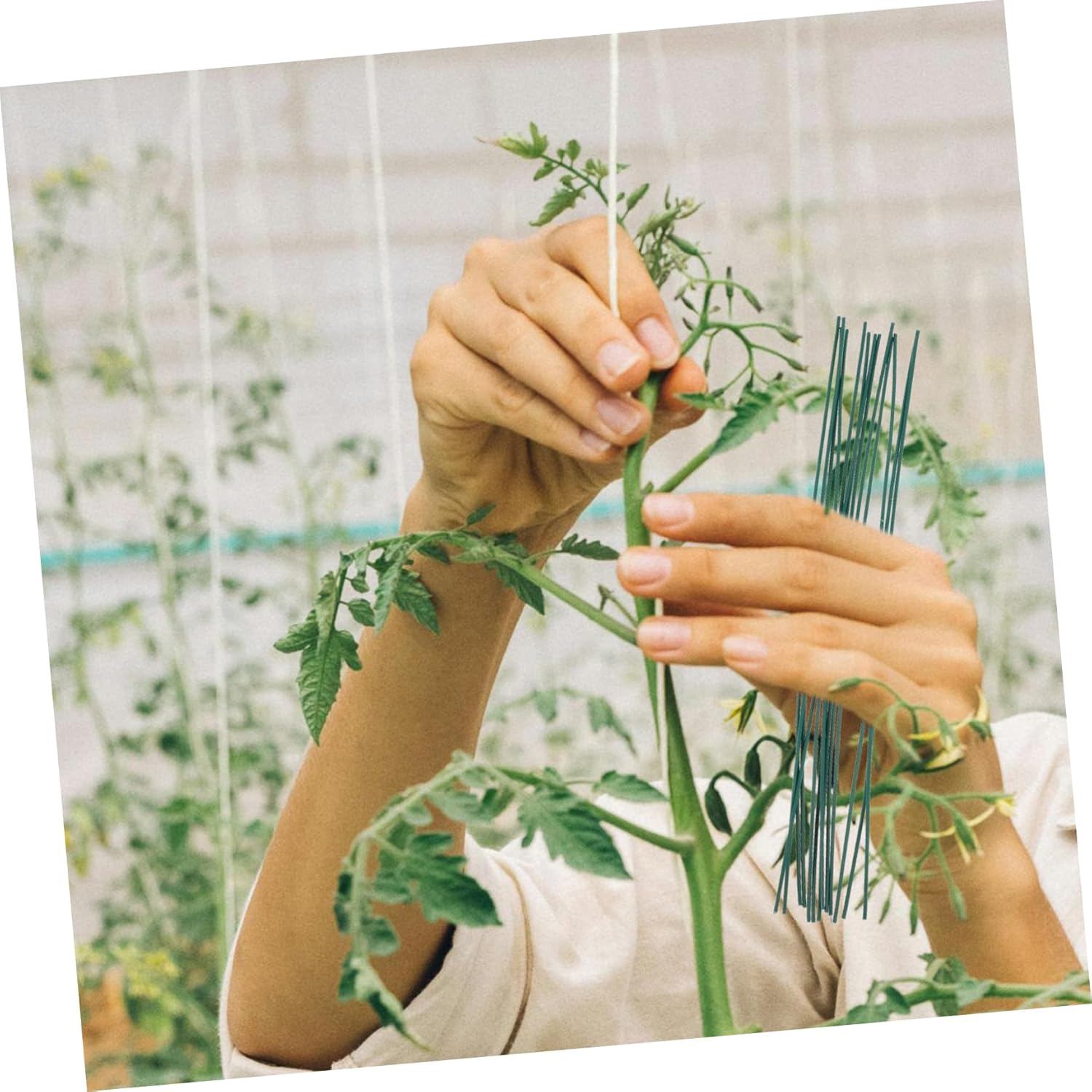 Yardwe 4000pcs Flexible Twisted Ties for Gardening Plant Binding Wire for Tomato Raspberry and Vine Support Reusable Green Plant Fixing Ties