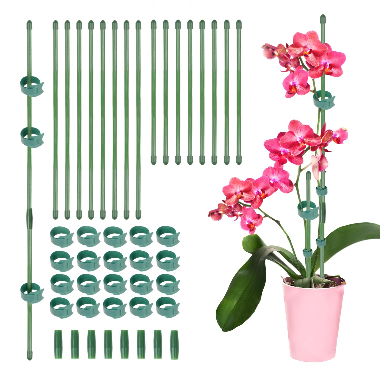 25 Pali Per Piante Da 40 Cm In Fibra Di Vetro Con Anelli E Clip – Supporti Per Orchidee, Pomodori E Fiori