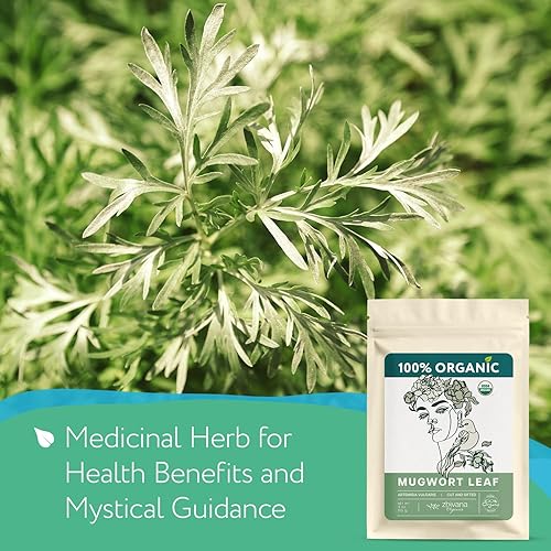 Miniatura 237 de Zhivana Organics - Té orgánico de bayas de espino blanco 16 onzas, para presión arterial alta, apoyo para la salud cardíaca y relajación