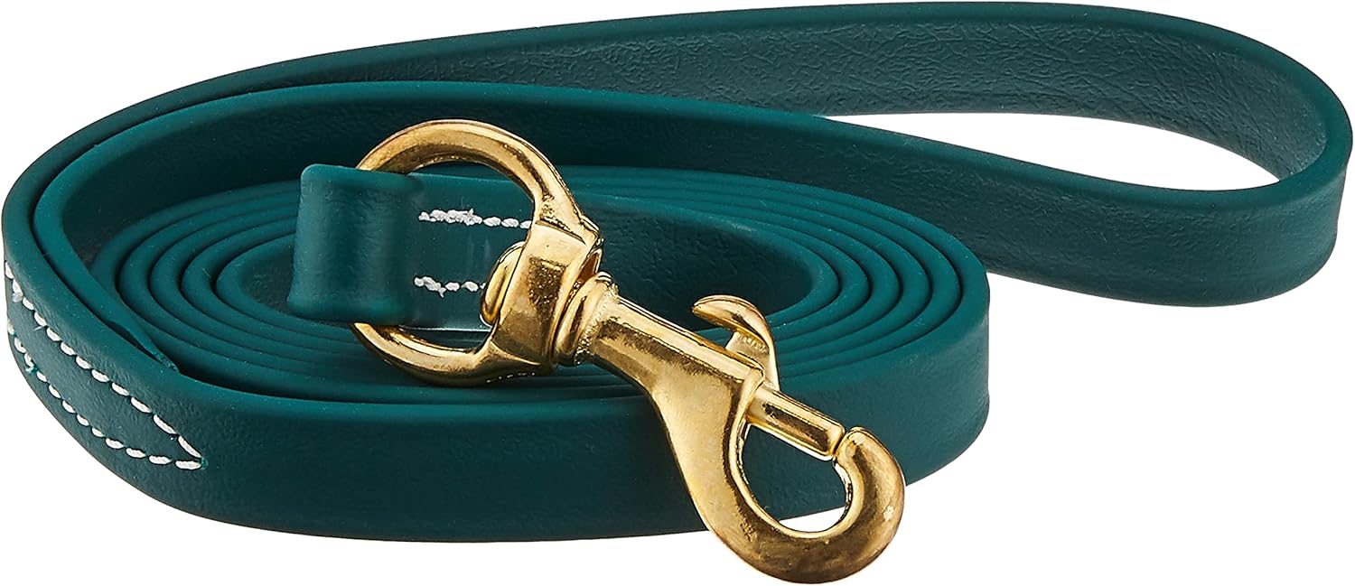 J&J Dog Supplies J&J Hunter Green Biothane Dog Leash, 3/4" Wide by 6