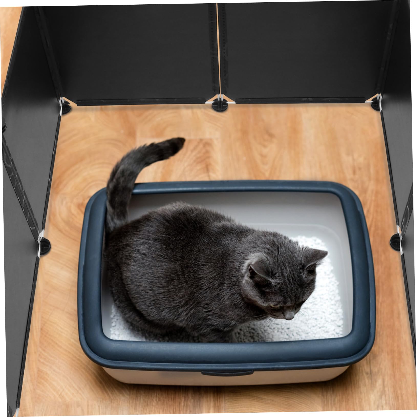 Toddmomy 1 Set Extra Large Litter Box Splash Guard Litter Pan Supplies Panneaux Dog Cat Litter Pan Enclosure Walls Shield Pet Cat Enclosure Pp Plastic Resin Tray Lovers Splash - Image 3