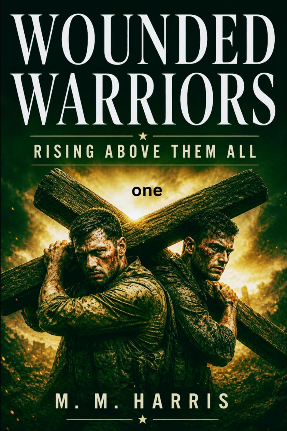 Wounded Warriors bk 1: Rising above them all