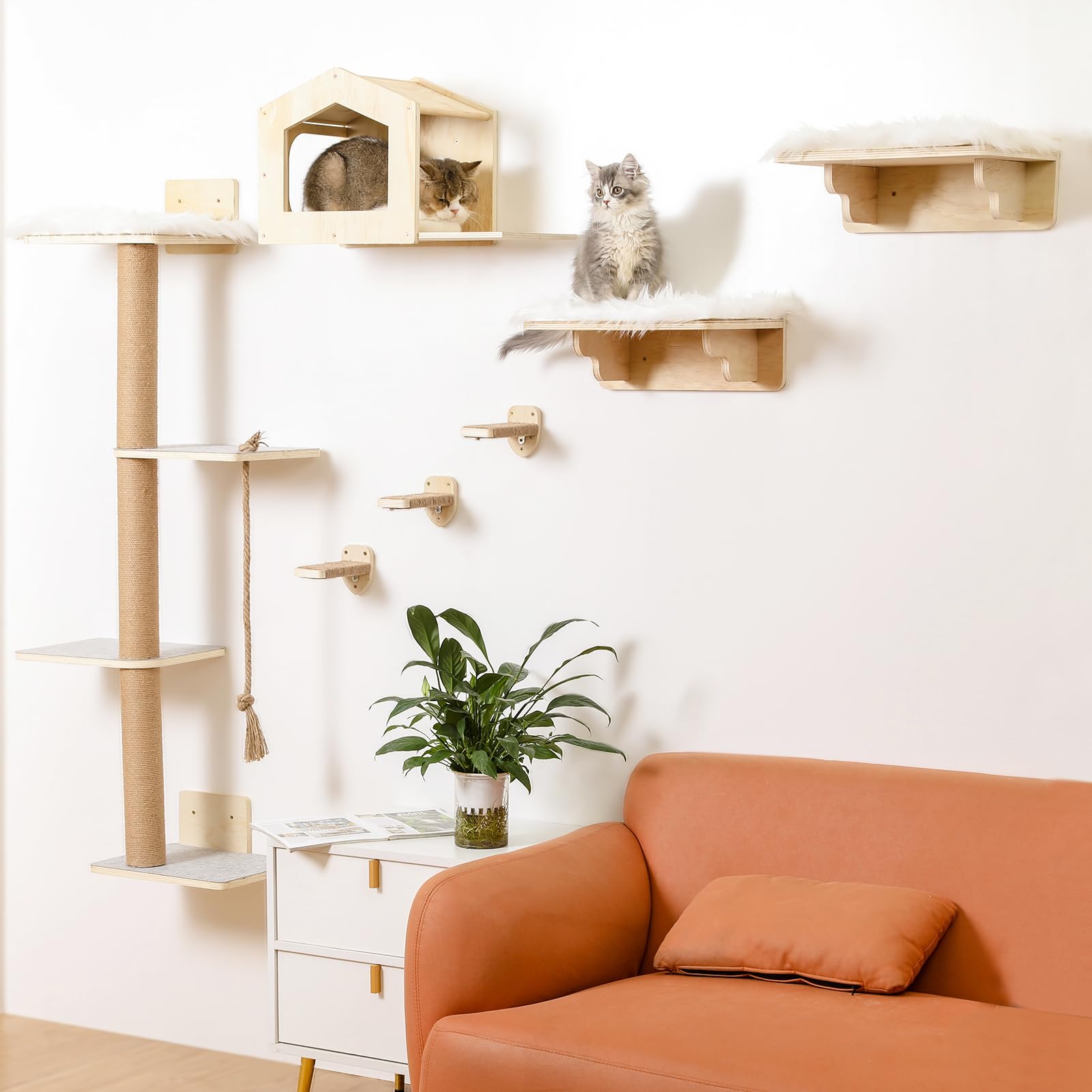 Katzen-Wandregale, Holz, Wandmontage, Katzenmöbel mit 4 Ebenen, 1 Katzenwandhaus, 2 Katzen-Sitzstangen und 3 Wandstufen, Kletterkatzenregale für Wand, große Katzen