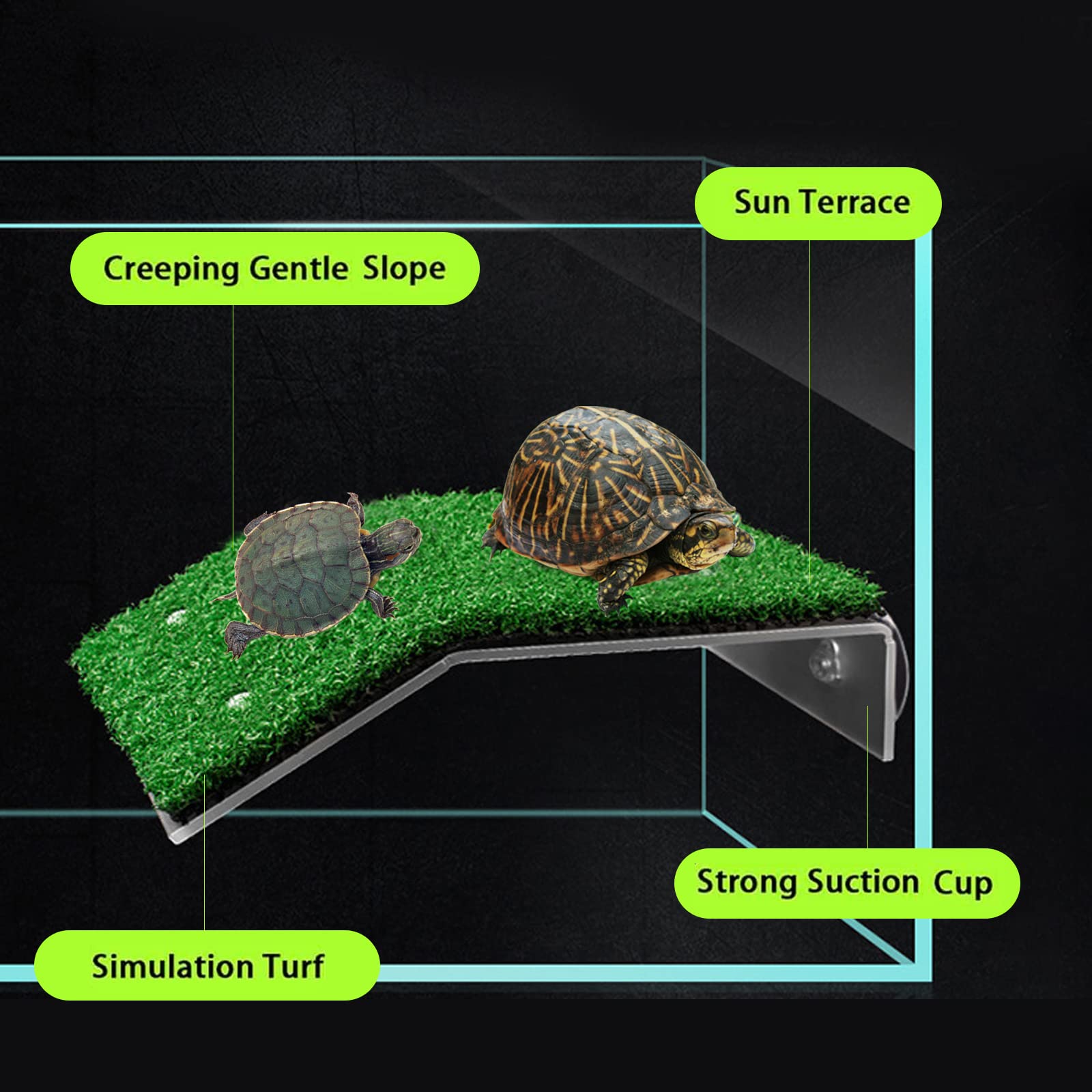 NANEEZOO Schildkröten Plattform - Schwimmende Sonneninsel Mit Saugnapf