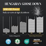 SWITTE 90% Hungarian Goose Down Duvet King Size, All Season Duvet Insert 850+ Fill Power, Soft 100% Organic Cotton Shell 1200TC Down Comforter, White(106"x90")