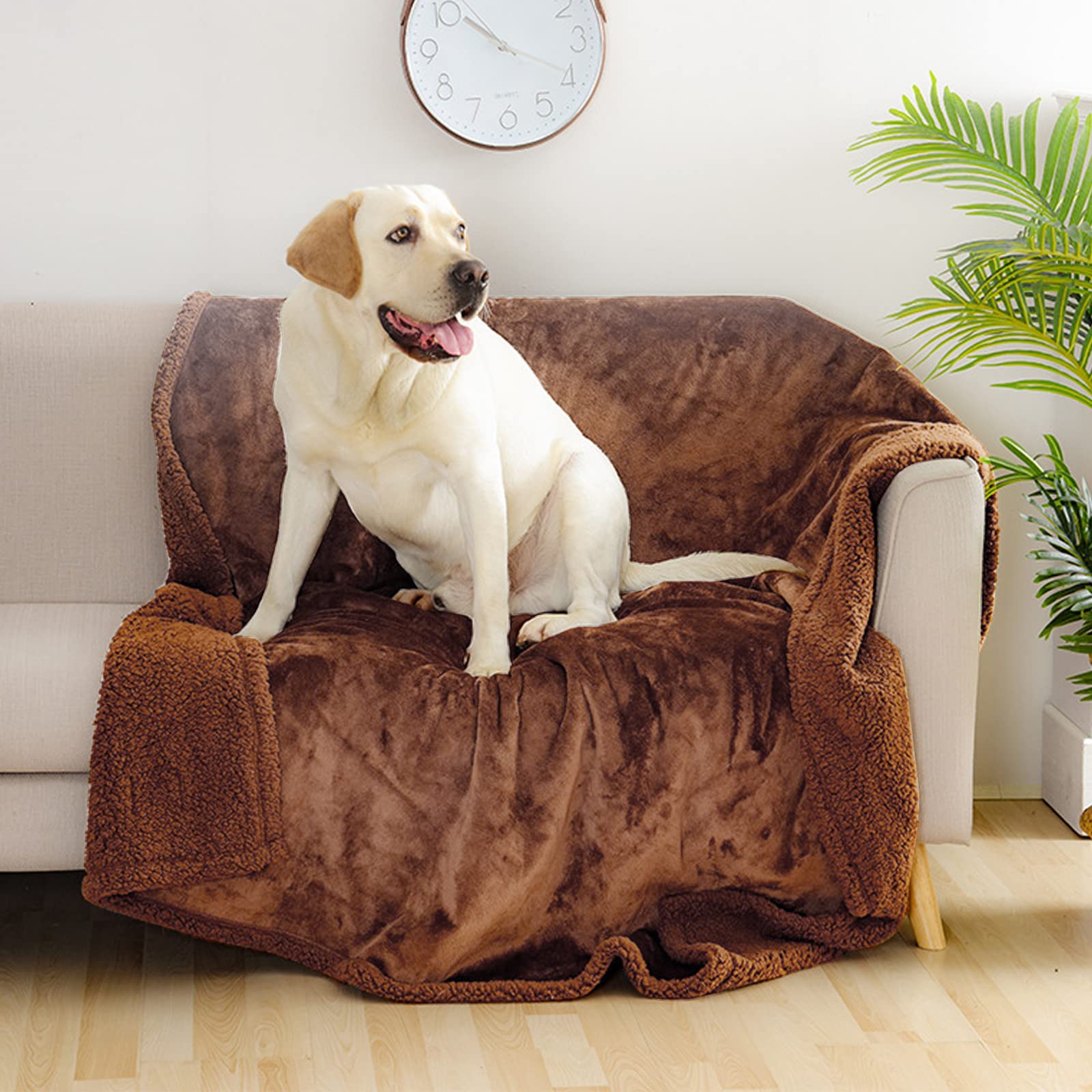 PETCUTE Manta Suave de Felpa para Perros Gatos,Manta Impermeable para Perros,Manta Felpa Sofa para Perros Gatos Mascotas,Reversible,Lavable a Máquina,Manta para Mascotas para Exteriores