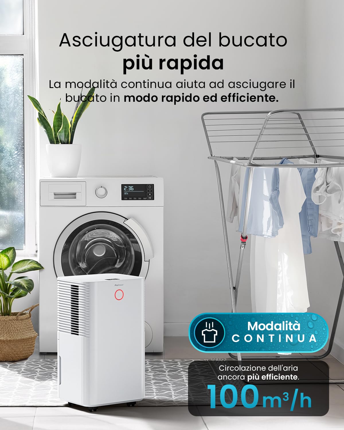 Pro Breeze Deumidificatore 12L/giorno con serbatoio d'acqua da 2L, sensore e display di umidità auto, asciugatura della biancheria, modalità Sleep e timer 24H - Umidità, muffa e condensa