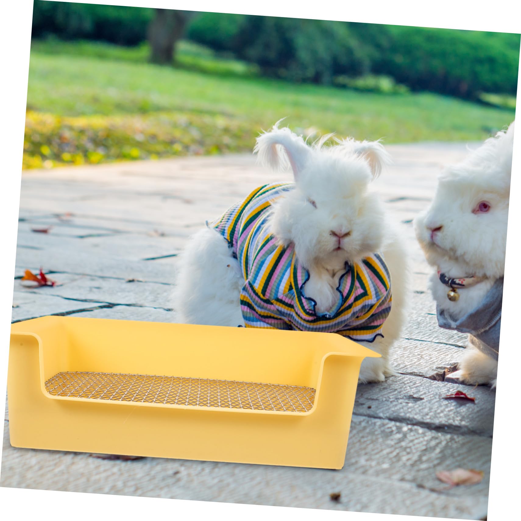 Gatuida Bac à Litière pour Lapin Et Petits Animaux Grille Amovible, Plastique Solide, Taille Moyenne, Cage Et Apprentissage, Convient pour Lapins, Cochons D’Inde Et Hamsters