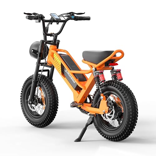 Spacewalk M6 / M7 /Adults E-Bike