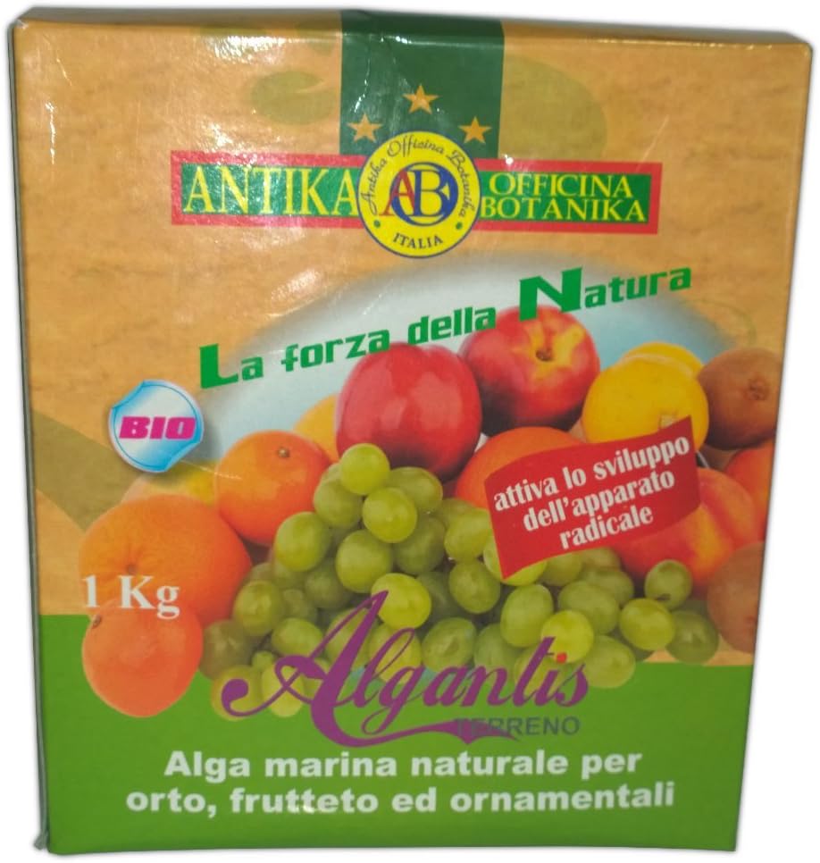 Antika Officina Botanika - Algantis 1Kg - Irish Algae
