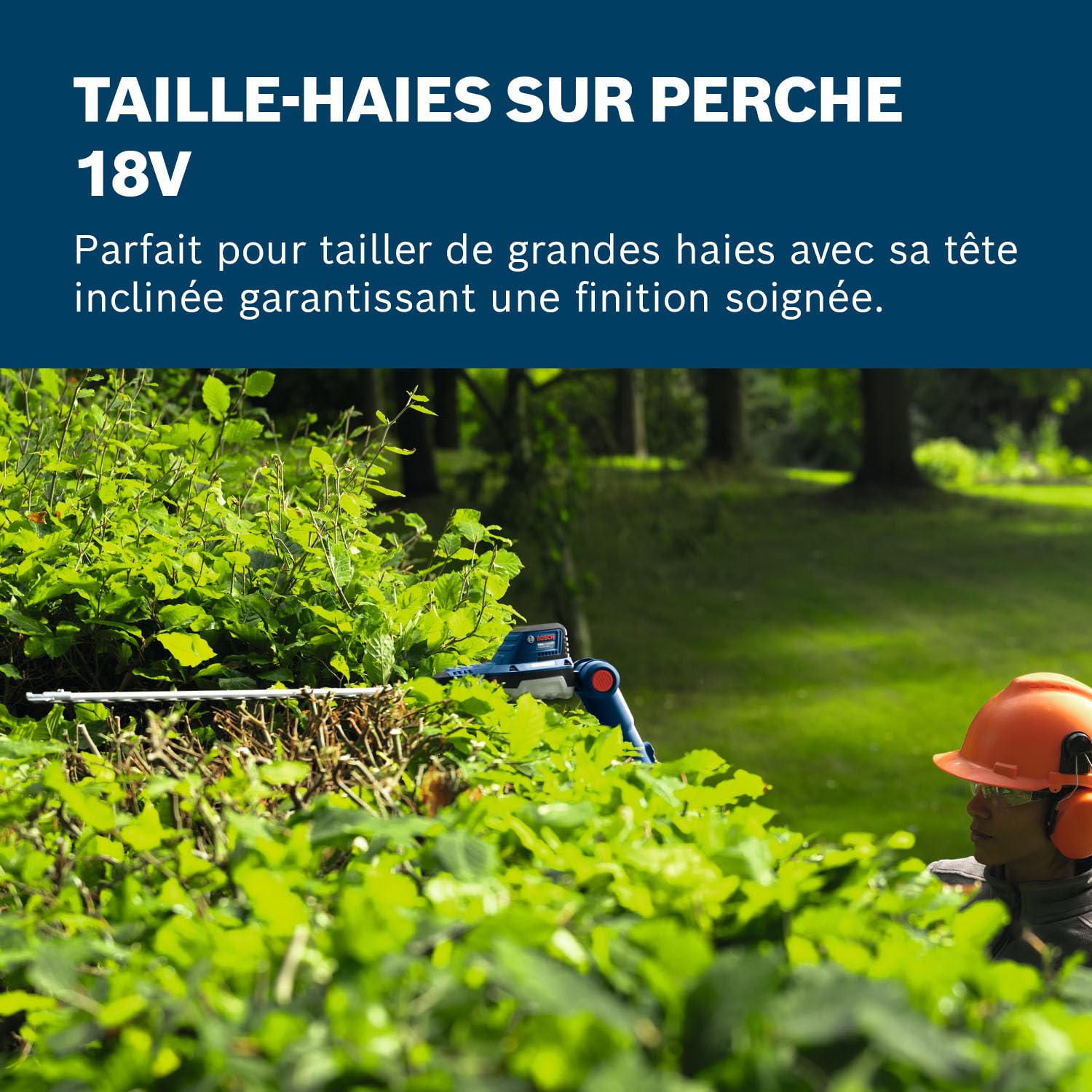 Bosch Pro Taille-haies sur perche sans-fil GHE18V-50 FP sans batt./chargeur