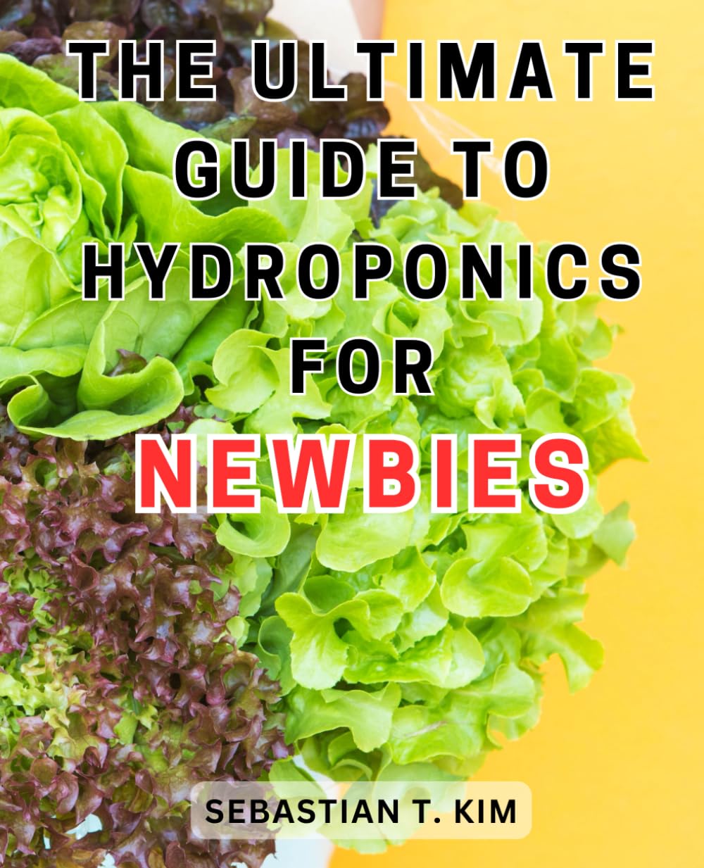 Guide To Hydroponics | Beginner’s Guide To Hydroponic Gardening With ...