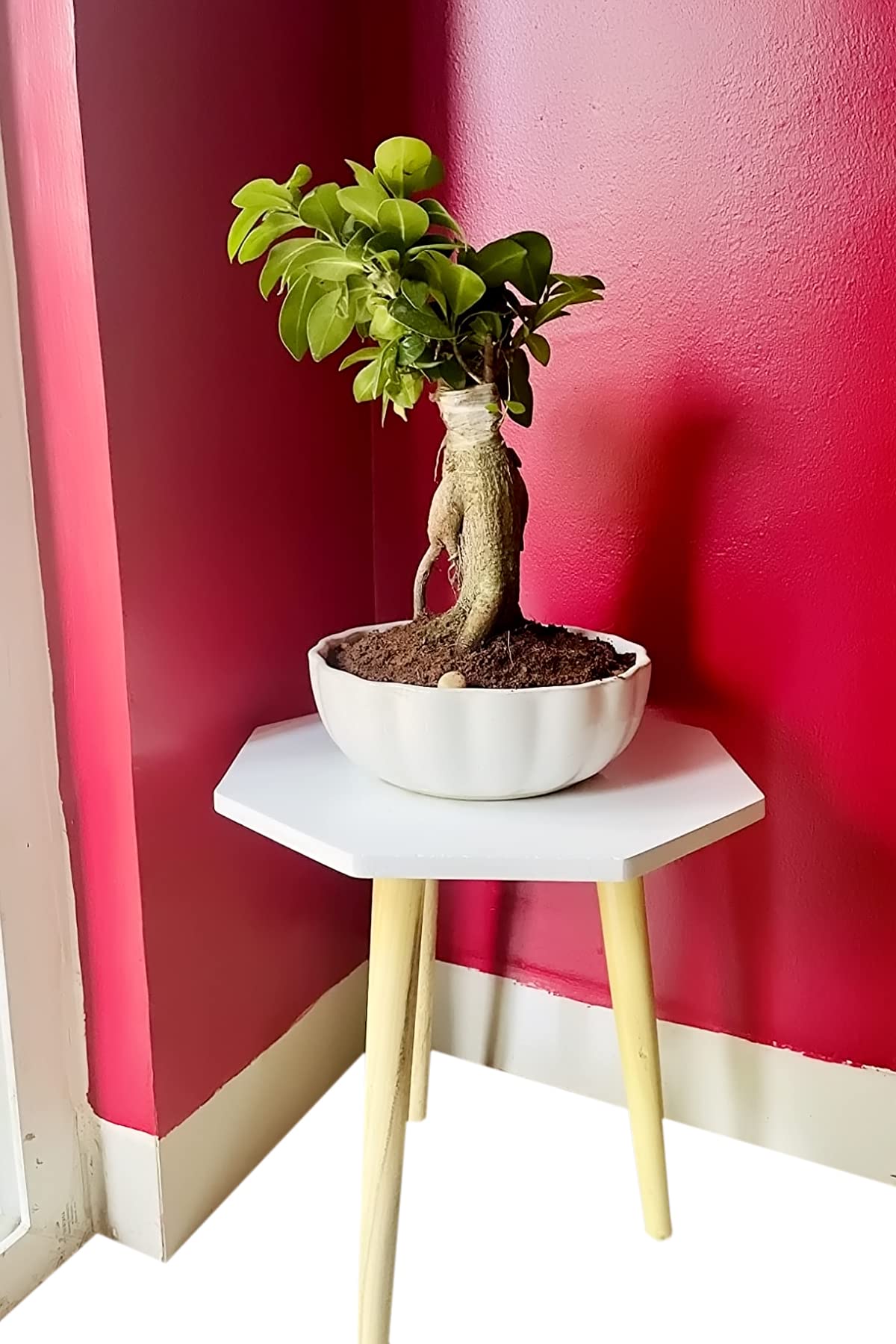 MAZING SHOPPEE Plant Stand Modern Plant Table, Plant Holder For Flower Pots,Small Round Side Table,End Table 12 x 12 x 12 inch (B0CY6QL7P6) Amazon Price History, Amazon Price Tracker