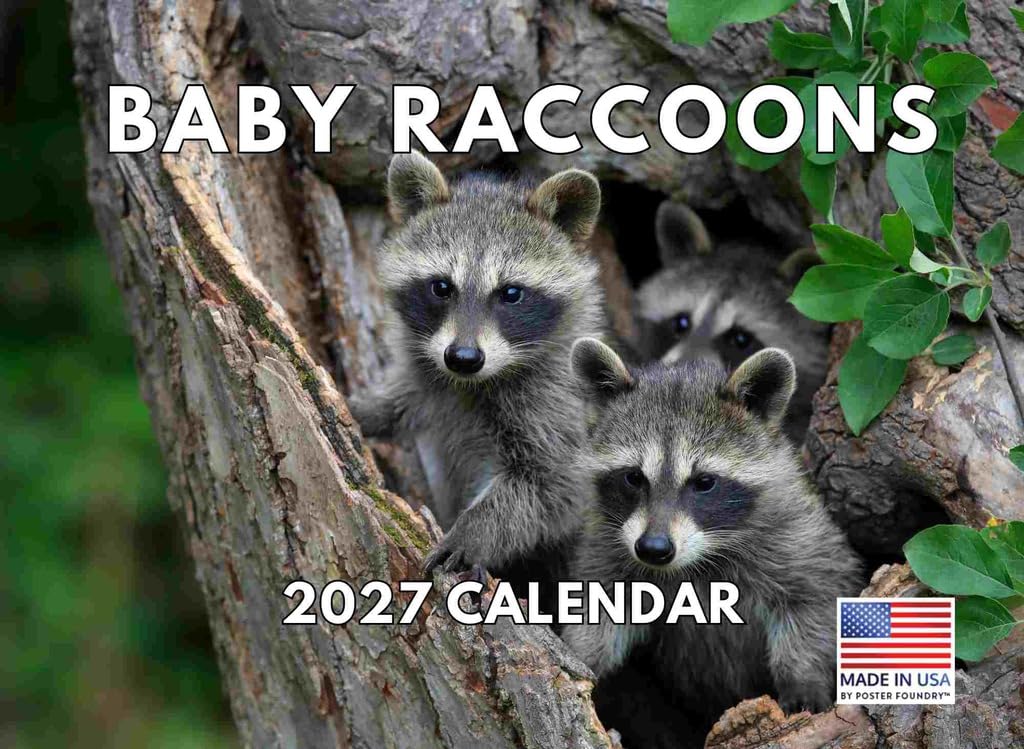 Baby Raccoon Calendar 2025 Monthly Wall Calender | American Made In The USA — image 1