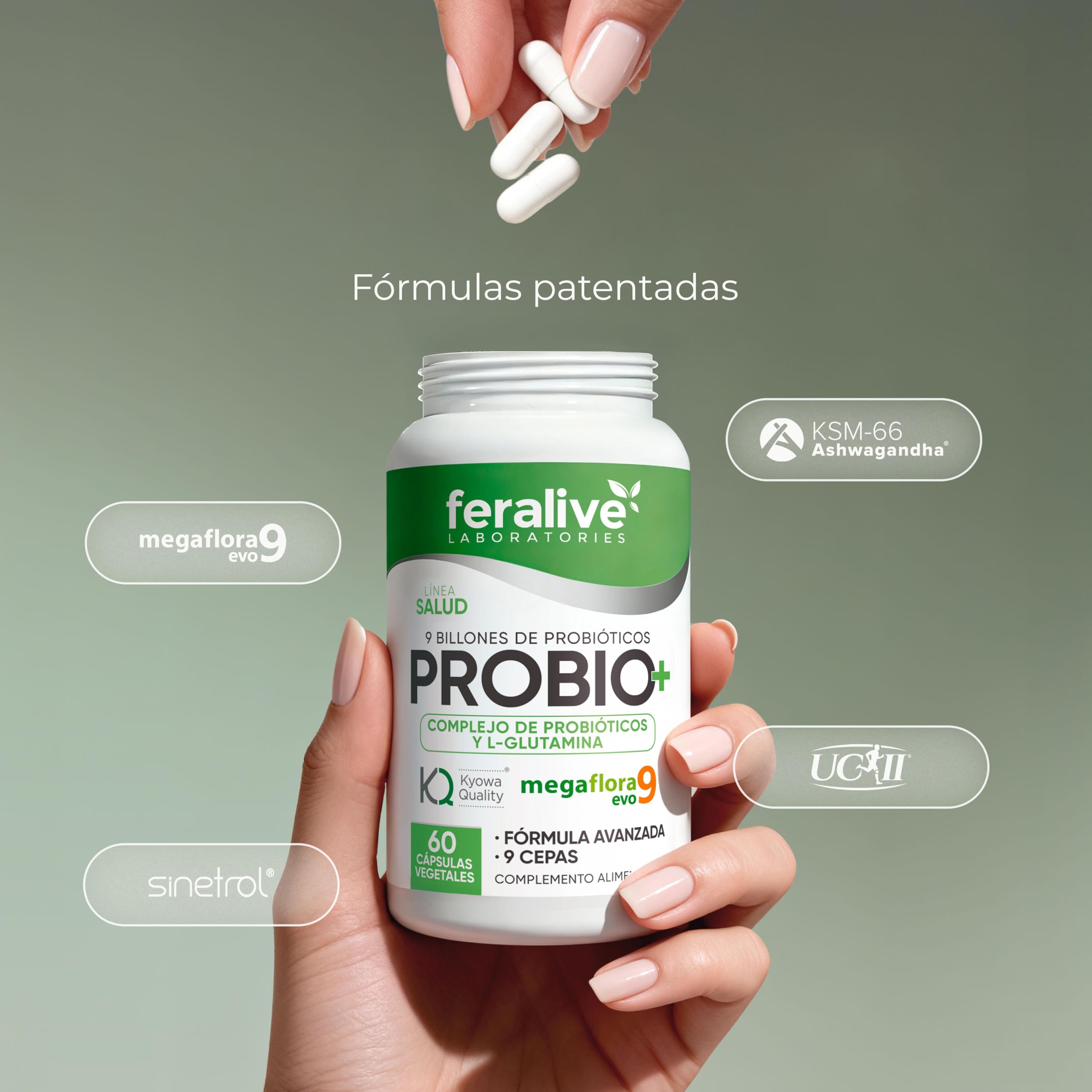 PROBIO+ 60 Cápsulas – Megaflora 9 Evo® + L-Glutamina Kyowa® – Suplemento Probiótico para Flora Intestinal, Digestión y Salud Gastrointestinal