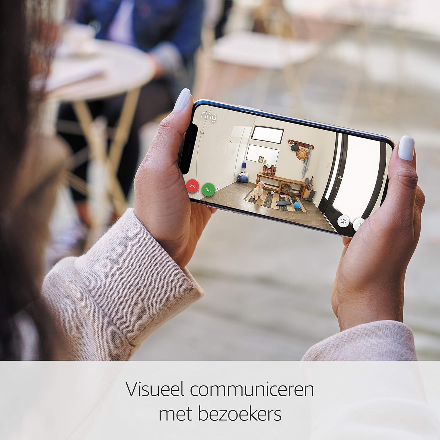 Vue 2