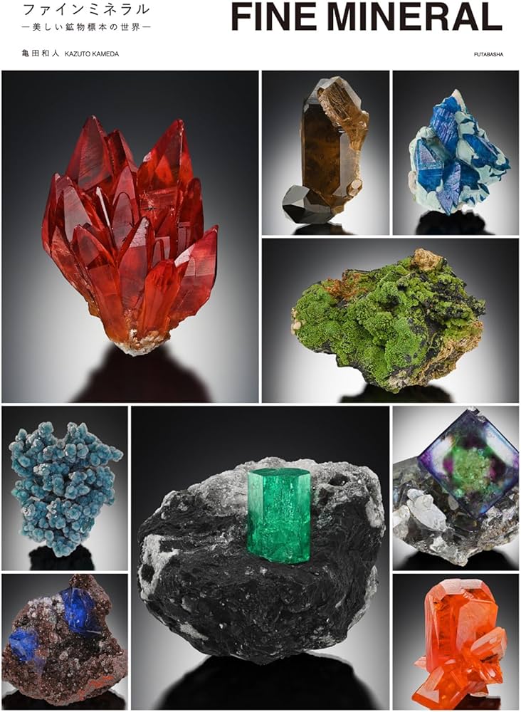 71uod8Qg9SL._AC_UF1000,