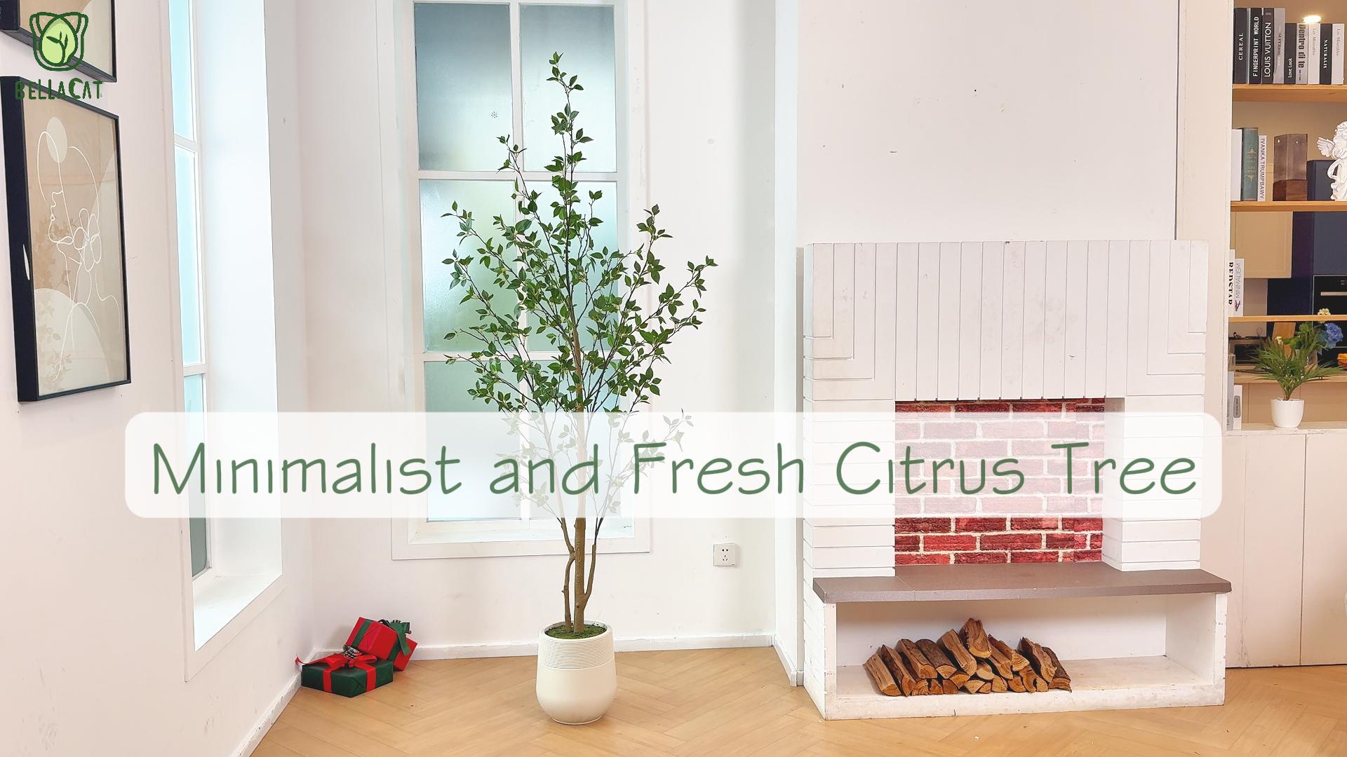 Amazon.com: Bellacat 7ft Minimalist Artificial Citrus Tree