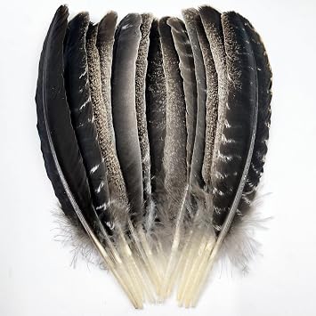 Turkey Wing Feathers,Natural Big Long Feather,11-13 inches 28-33cm,Large Size Bilateral Feathers,Left and Right Wings for Crafts,Bulk 12pcs Natural Turkey Wing-1