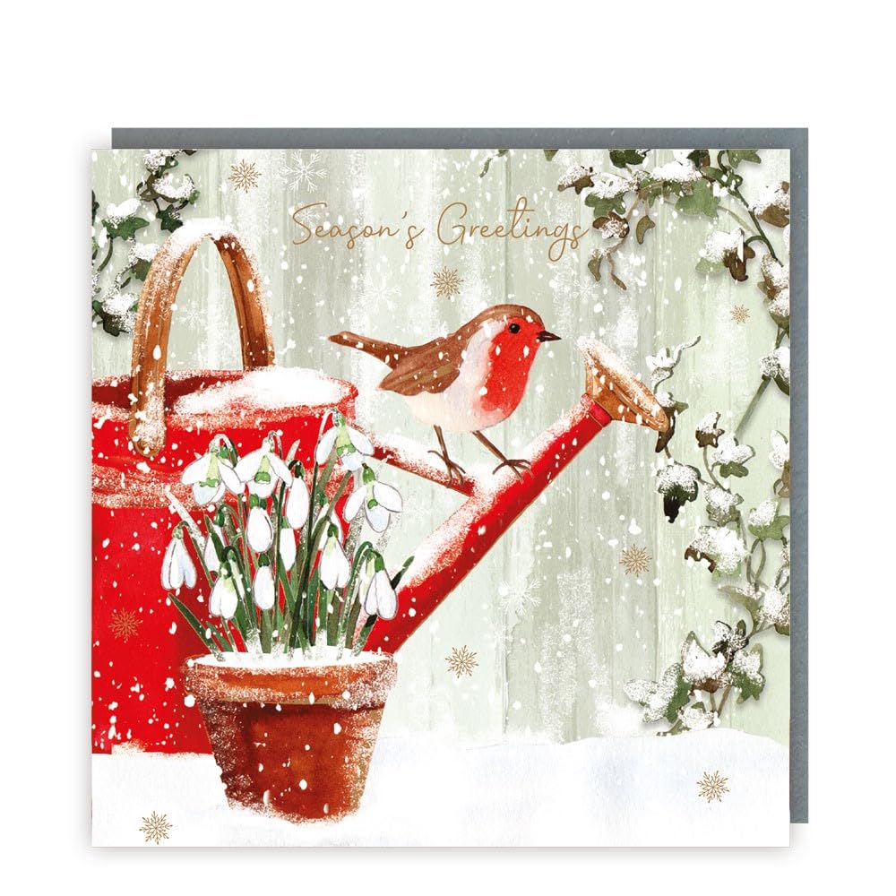 Tracks Publishing Charity Christmas Cards Pack of 5, Charity Christmas Cards with a Robin and Snowdrops Festive Design