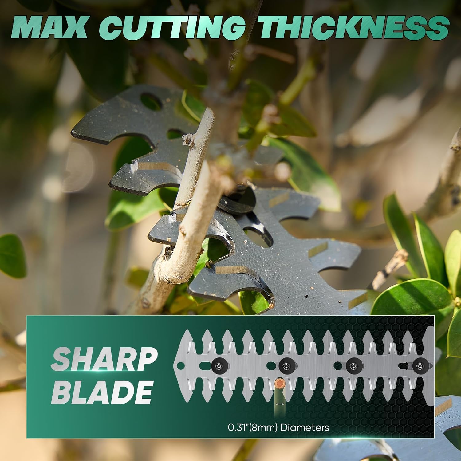 Image showing the maximum cutting thickness of the hedge trimmer blade, which is 0.31 inches (8mm).