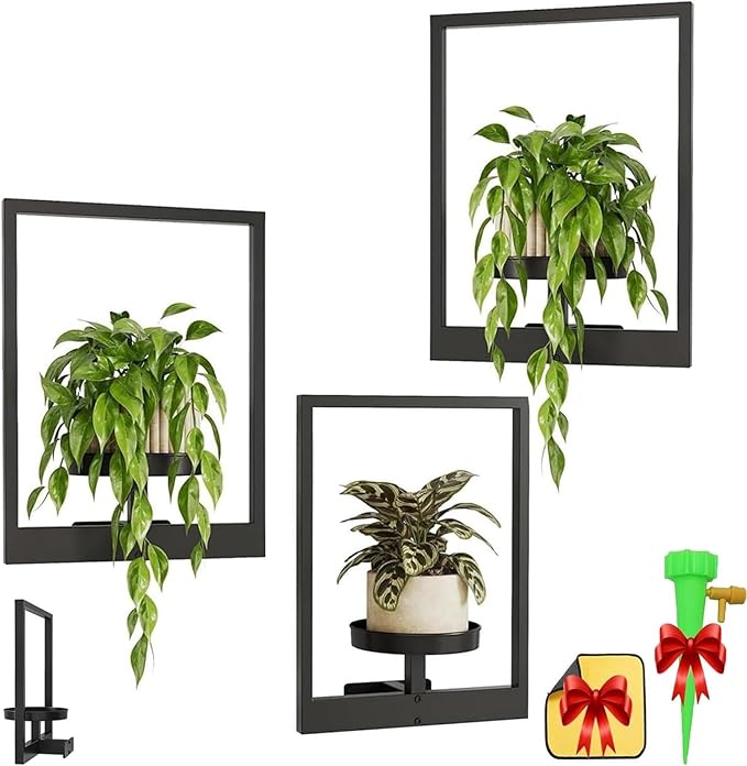 Bosjct Picture Frame Plant Holder,Plant Frames for Wall