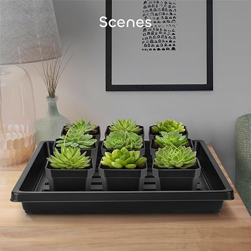 Miniatura 6 de GROWNEER 6 paquetes de bandejas de cultivo de plástico de 15 x 11 x 2.6 pulgadas con 15 etiquetas para plantas, bandeja de semillas para plantas de