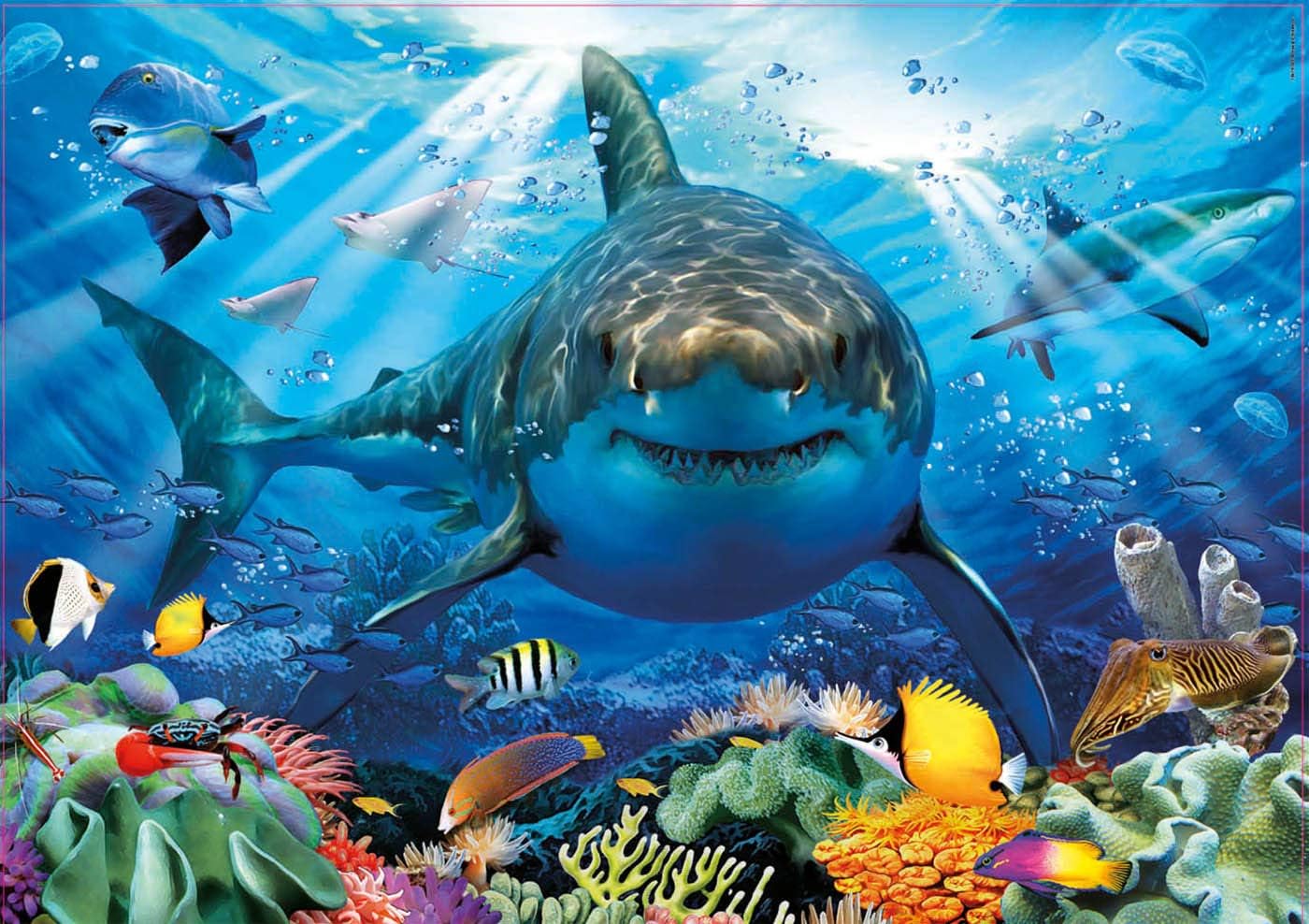 Educa 18478 Puzzles 500 Pieces, White Shark, No Colour