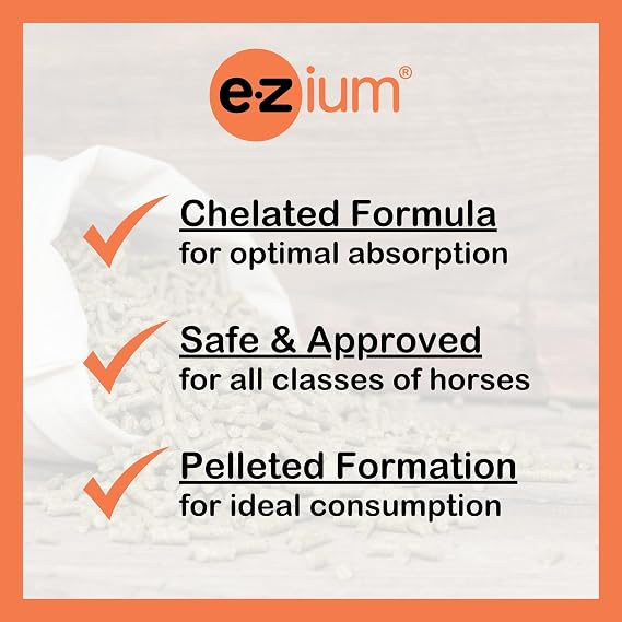 EZium Chelated Magnesium Supplement for 30-Day Supply- Horse Supplements Support Muscle Function, Focus & Recovery- Calming Equine Supplement Reduces Stress & Improves Behavior- 9.5 Lb. Resealable Bag