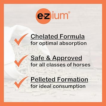 EZium Chelated Magnesium Supplement for 30-Day Supply- Horse Supplements Support Muscle Function, Focus & Recovery- Calming Equine Supplement Reduces Stress & Improves Behavior- 9.5 Lb. Resealable Bag