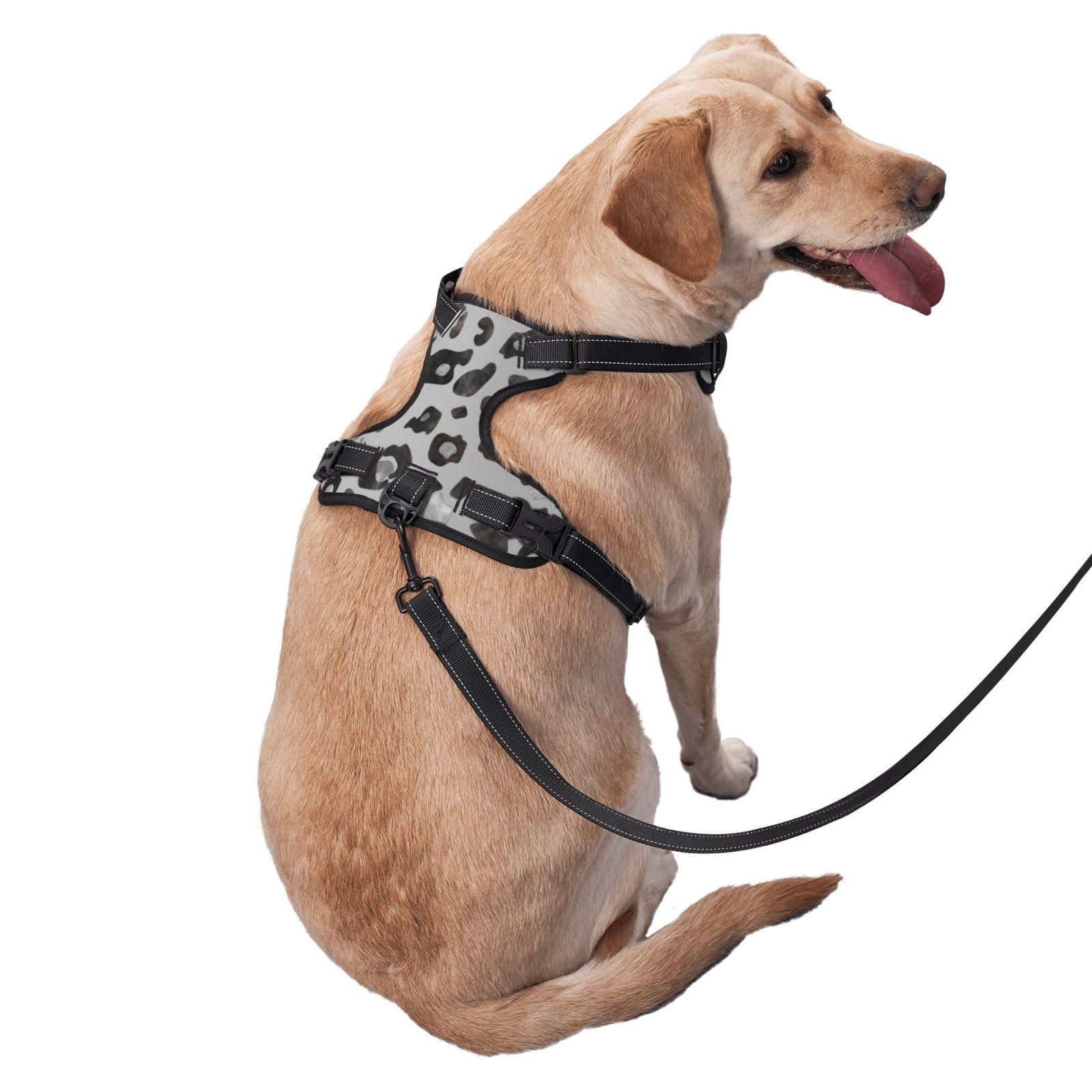 Petiry No-Pull Dog Harness - Adjustable Leopard Print Harness With Front & Back Clip, Small Size