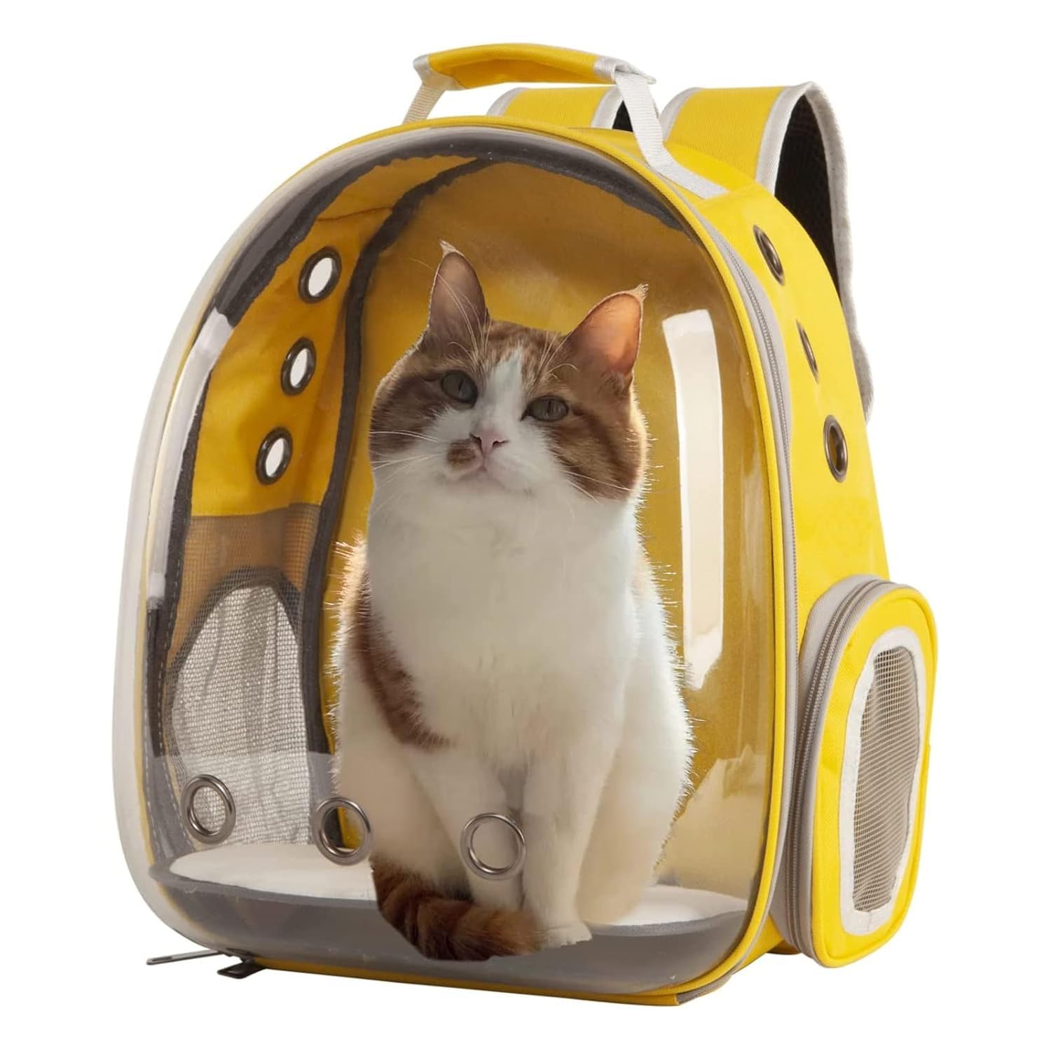 KUNYA Pets Cat Backpack Carrier Bubble Bag,Transparent Space Capsule Pet Carrier Dog Hiking Backpack,Small Dog Backpack Carrier for Cats Travel Carrier Outdoor Use (Multicolour) (B0DDT28VT3) Amazon Price History, Amazon Price Tracker