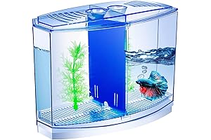 Mini Betta Fish Tank with Divider