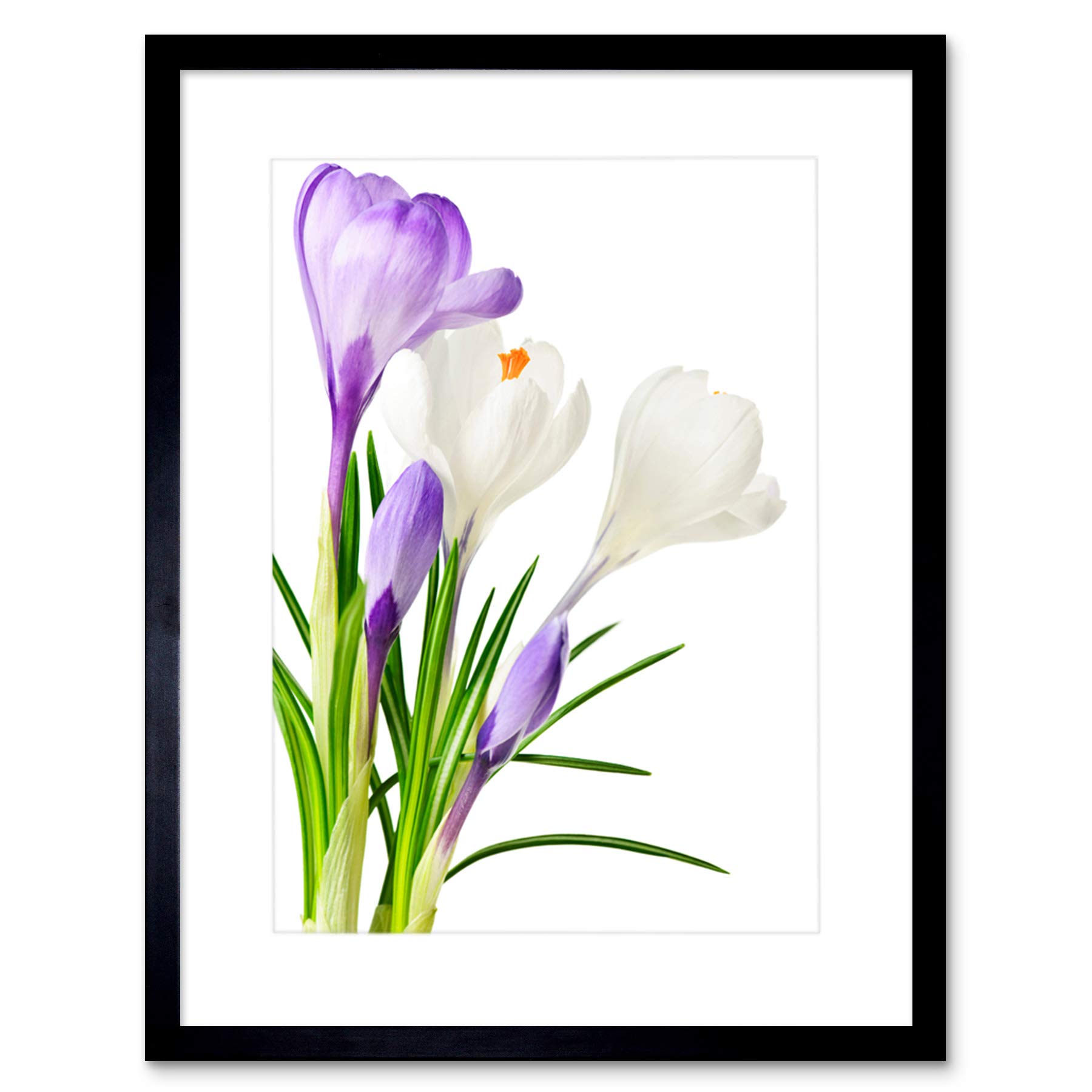 Wee Blue Coo PURPLE WHITE SPRING FLOWERS BLOOM BLACK FRAME FRAMED ART PRINT PICTURE B12X8069