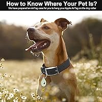 Vista 80 de Wisedog Waterproof Dog Collar: Multiple Adjust 7" to 23.6", Soft Rubber Coated Webbing, Easy to Clean, for Small Medium Large Dogs