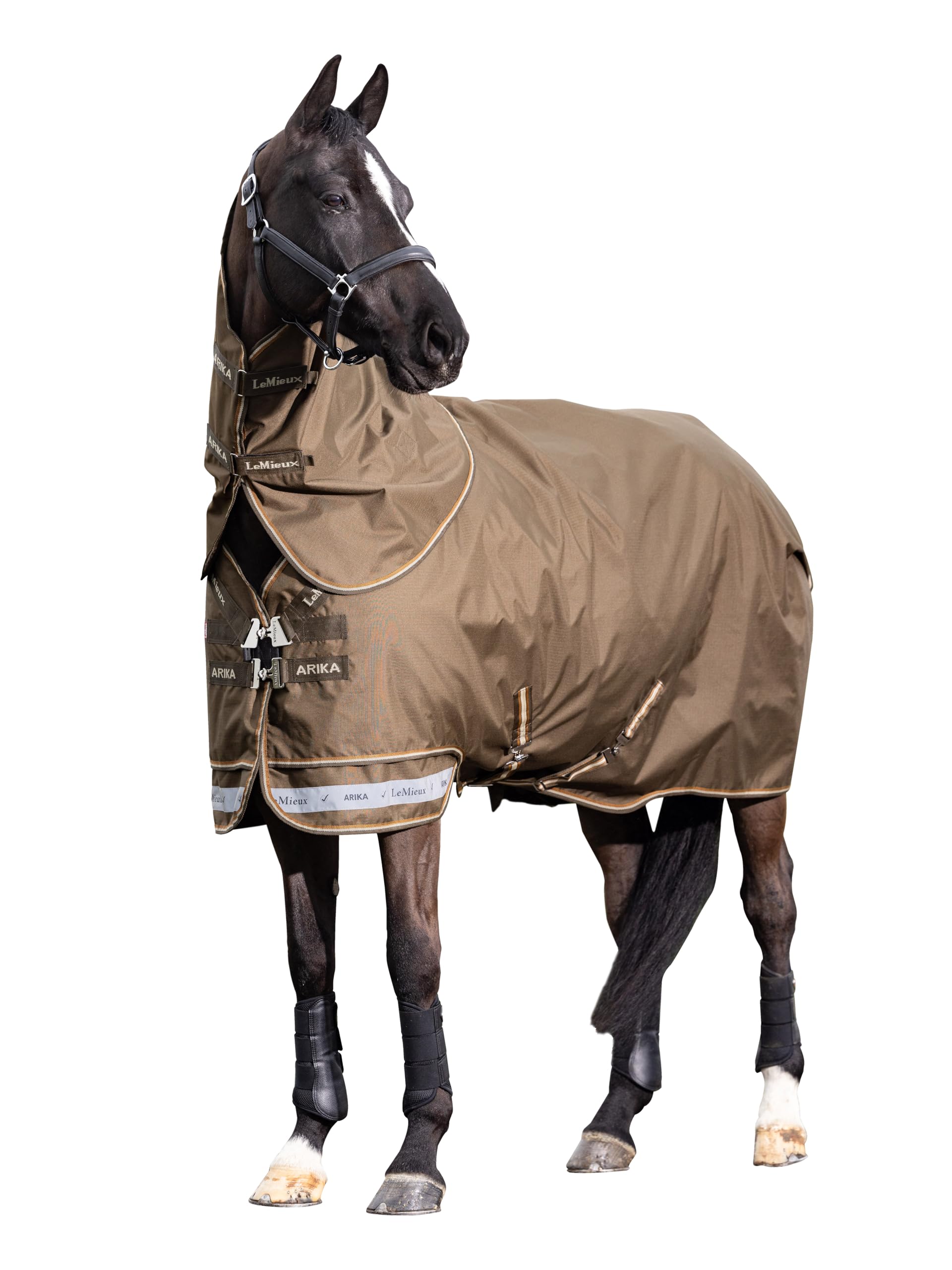 LeMieux Arika Ripstop 0g Turnout Rug - Detachable Neck - 600Denier - Alpine - 7ft