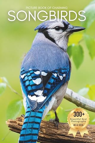 Picture Book of Charming Songbirds: A Peaceful Collection of Real Bird Photography for Seniors Living with Memory Loss, Alzheimer’s, or Dementia (Birds Coffee Table Books)