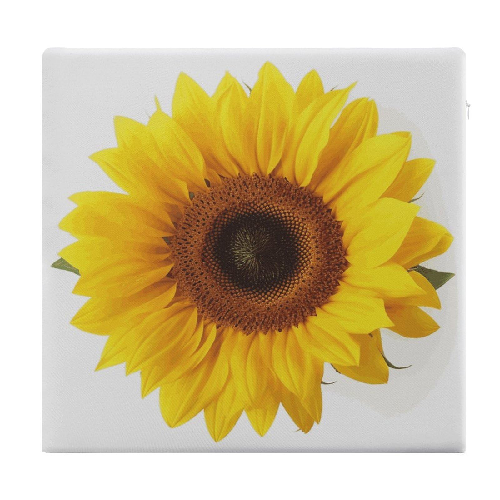 LDGSUPH - Sunflower insulated seat cushions for office chair square cushions soft floor cushions comfortable sofa cushions memory foam pads for the