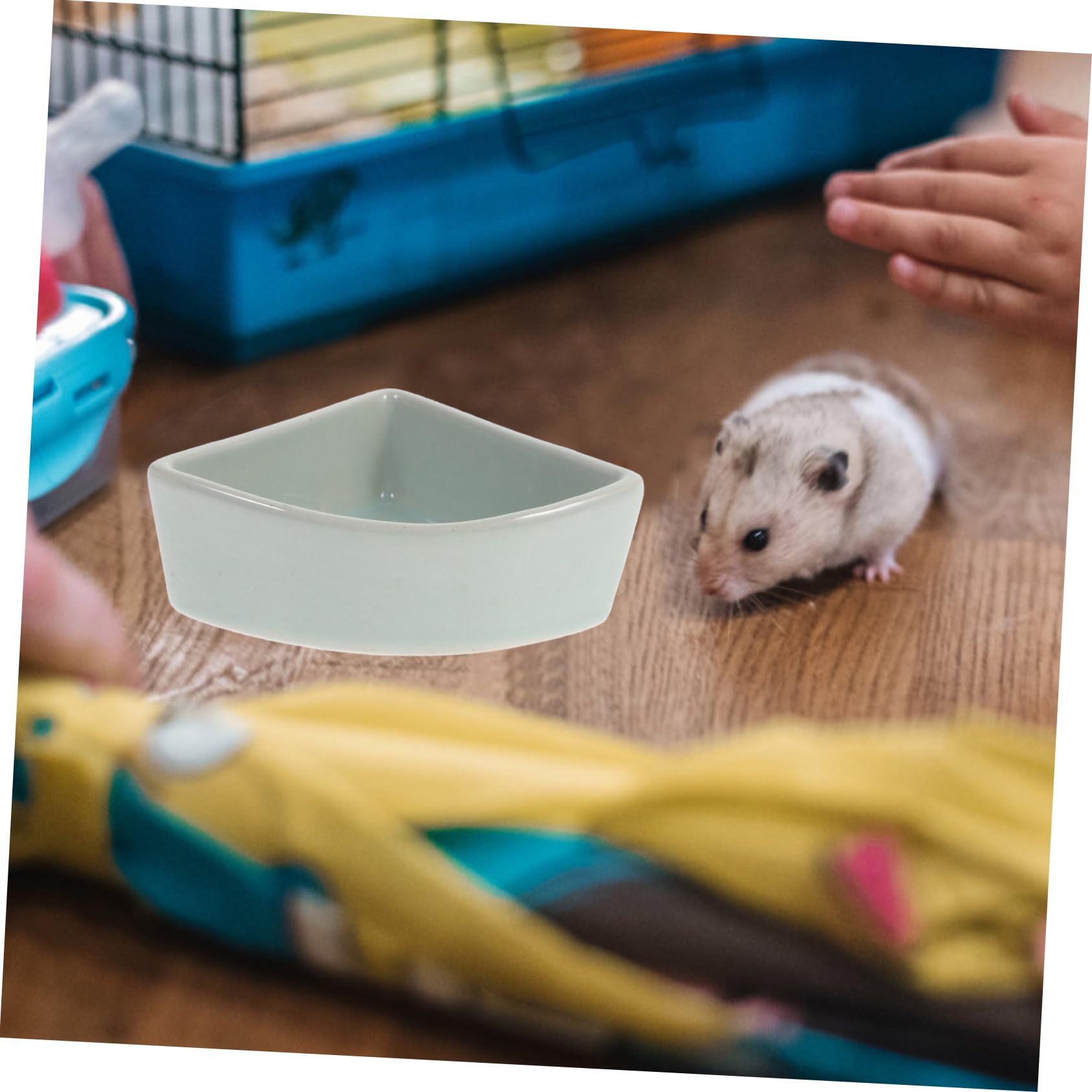Sosoport Ciotola in Ceramica per Criceti e Orsacchiotti Dorati, Adatta per Cibo Asciutto e Fresco, Resistente al Morso, Design Anti-ribaltamento per Piccoli Animali
