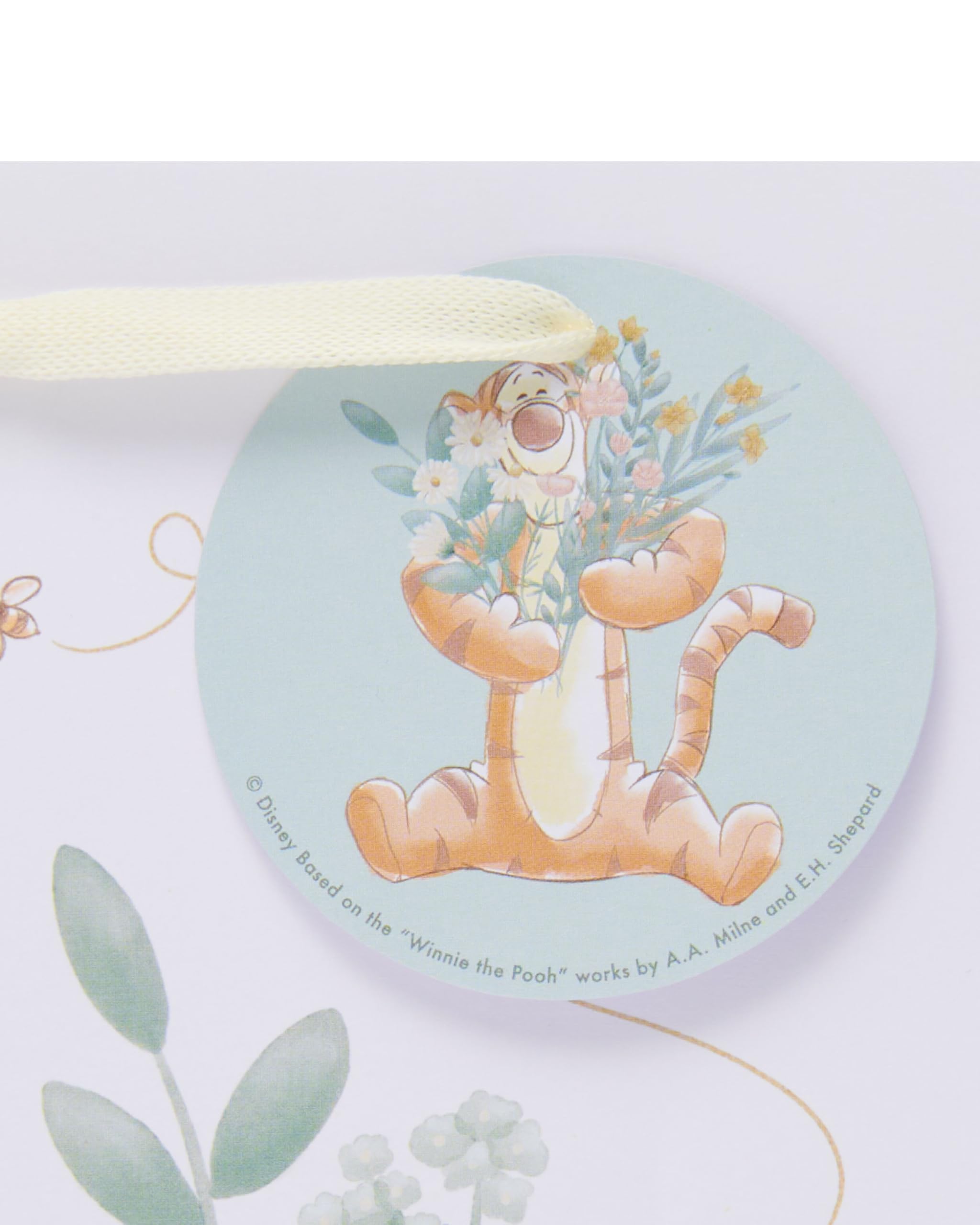 UK Greetings Disney Winnie The Pooh Medium Gift Bag for Him/Her/Friend - for Birthdays, Thank You & Other Events - Pooh & Eeyore Design