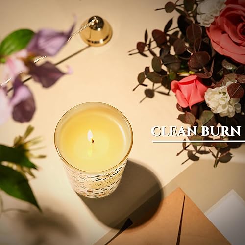 Miniatura 4 de HomeLights - Velas perfumadas para mujeres y hombres, frascos de velas de 6.7 oz, vela de aromaterapia de una sola mecha, ideal para texturas