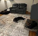 Review Image by Veronica Veronica