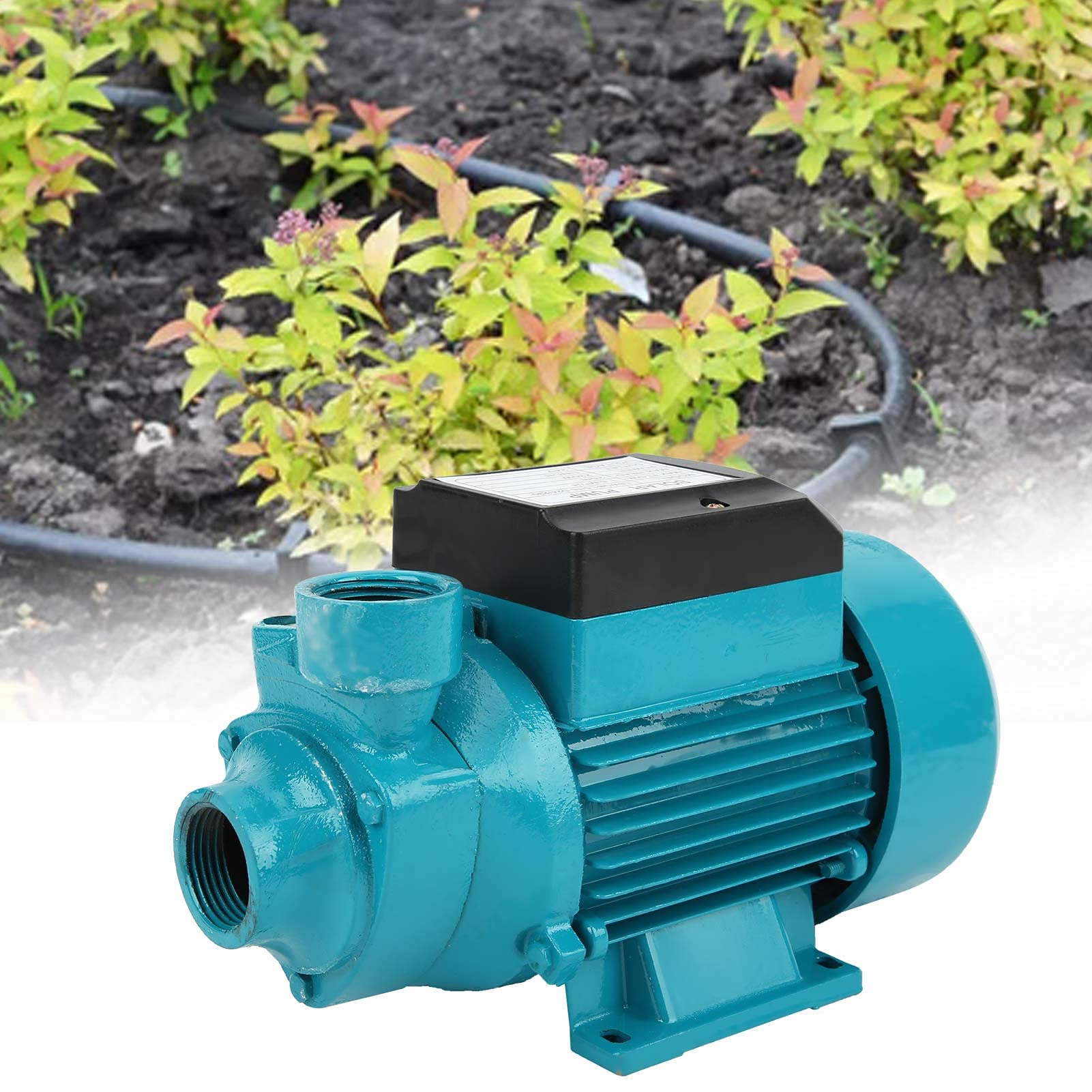 Bomba Eléctrica Bomba de Agua Horizontal DC 24V 230W Bomba de Impulsor Unipolar