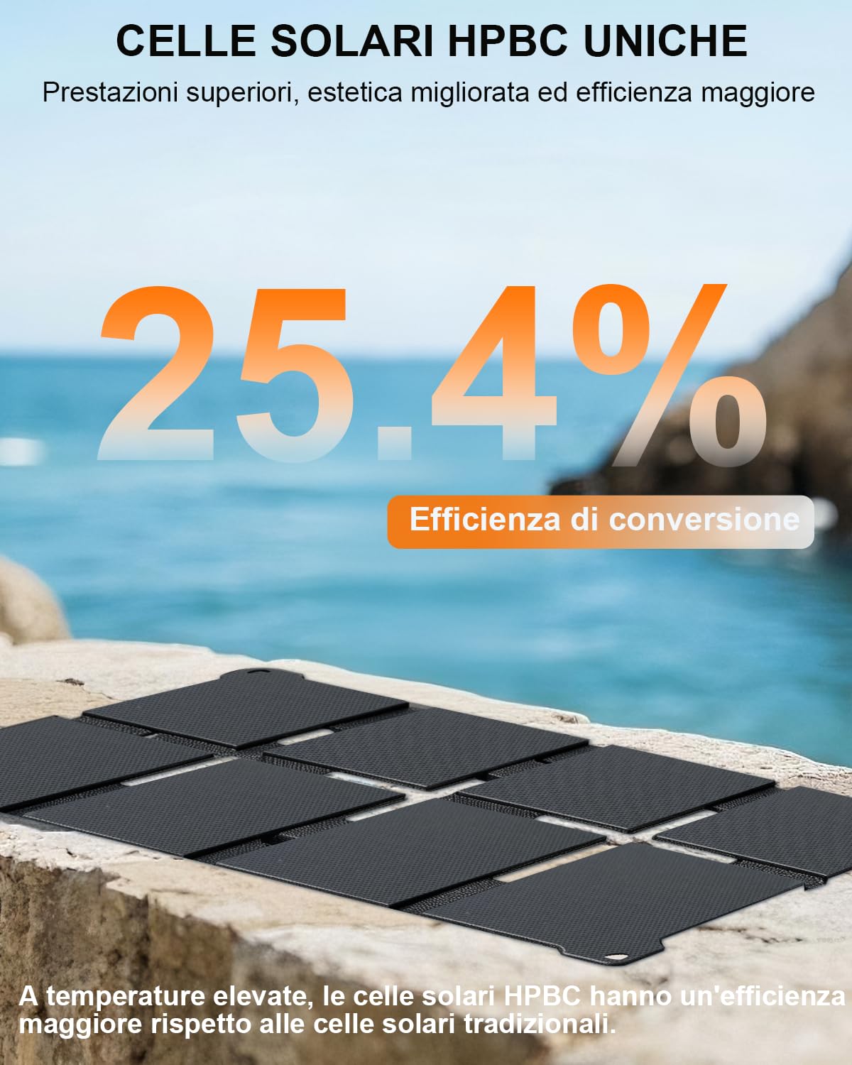 ELECAENTA HPBC Caricabatterie Solare Portatile (80, Watt)