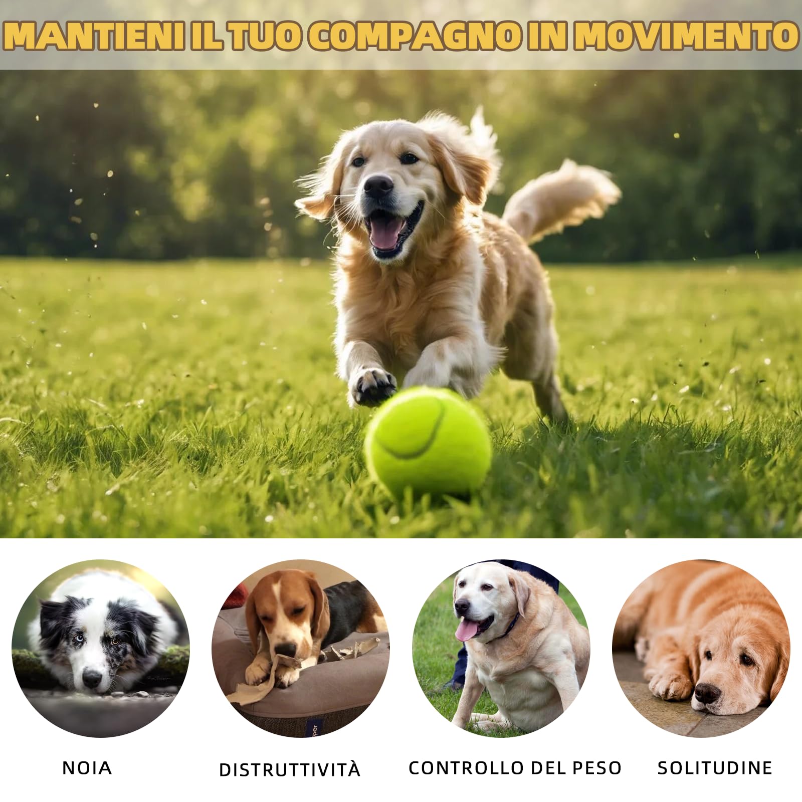 Gettatrice per cani con 6 palline da tennis, giocattolo elettrico interattivo per cani di piccola taglia, per interni ed esterni