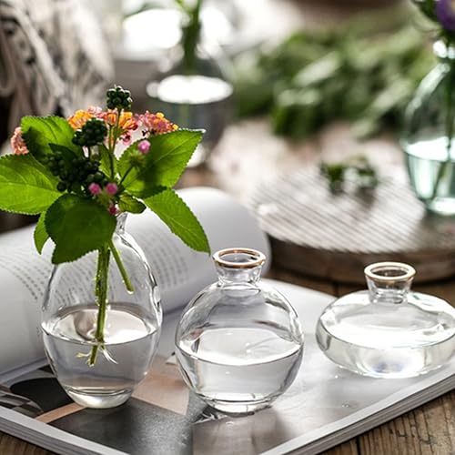 Miniatura 2 de Small Vases for Centerpieces Glass Esmiome - Clear with Gold Rim 3pcsSet Bud Vases, Short Minimalist Vase Clear Modern Flower Vase Mini Tiny Vases